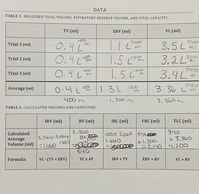 Solved TABLE 3. CALCULATED VOLUMES AND CAPACITIES.1. Label a | Chegg.com