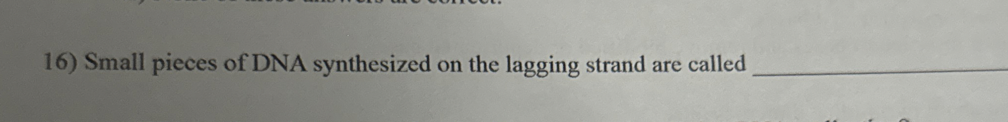 Solved Small Pieces Of DNA Synthesized On The Lagging Strand | Chegg.com
