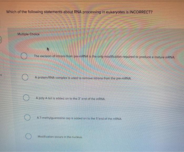 Solved Which Of The Following Statements About Rna | Chegg.com