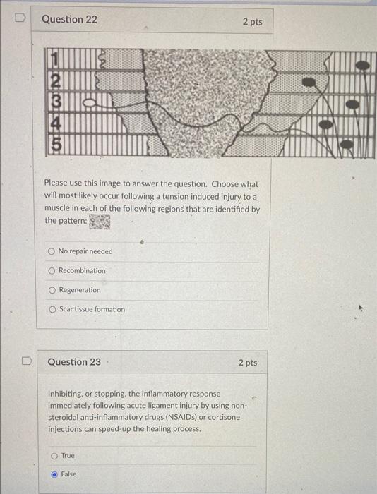 Solved D Question 22 2 pts 1||||| 2||||| BA!!!! 5 Please use | Chegg.com