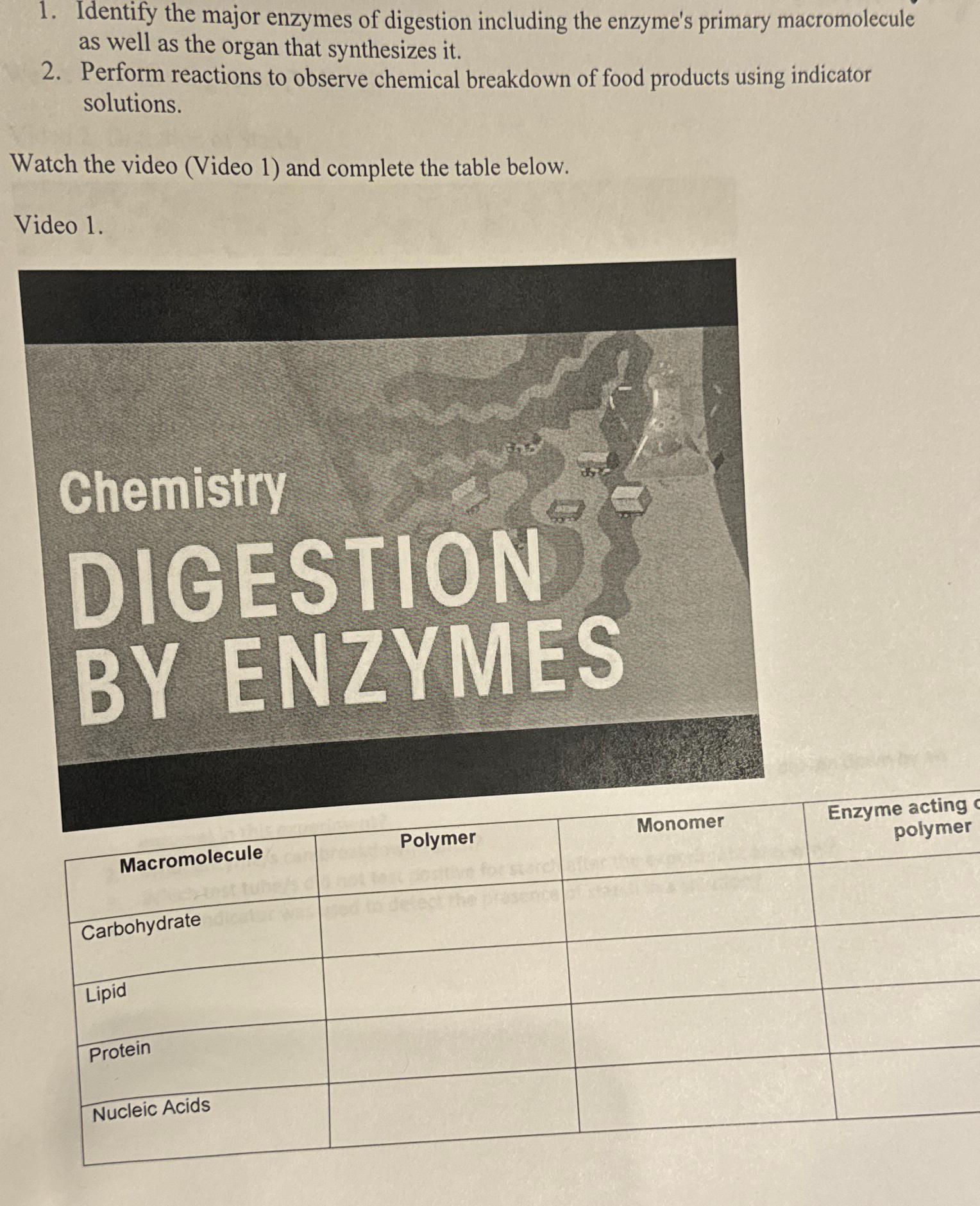 Solved Identify the major enzymes of digestion including the | Chegg.com
