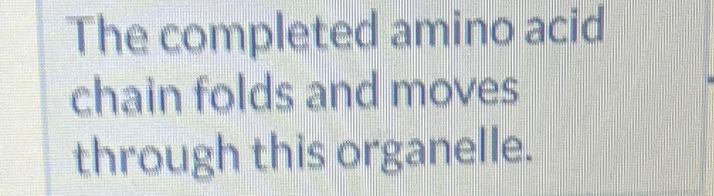 Solved The completed amino acid chain folds and moves | Chegg.com