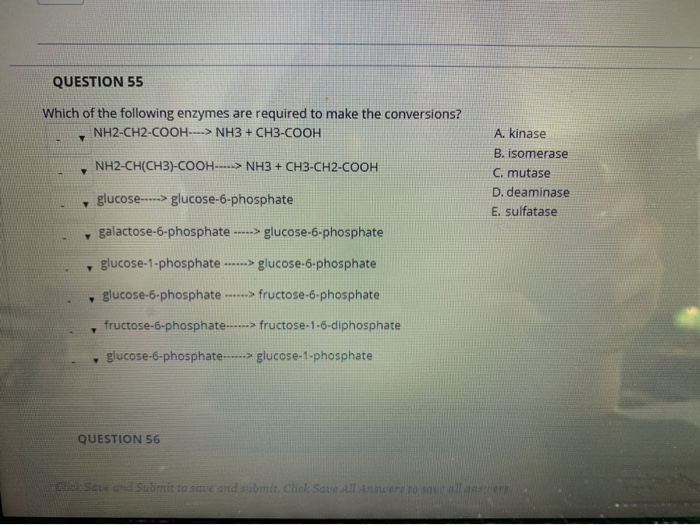 Solved QUESTION 55 Which Of The Following Enzymes Are | Chegg.com