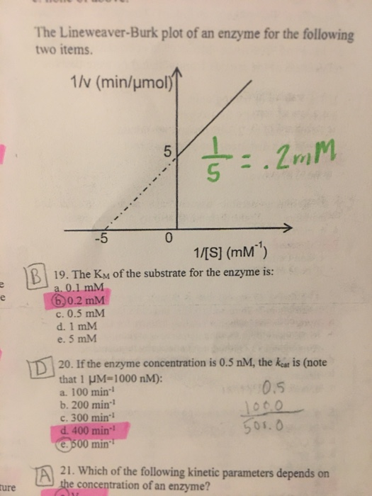 Solved 20. If the enzyme concentration is 0.5 nM, the kcat