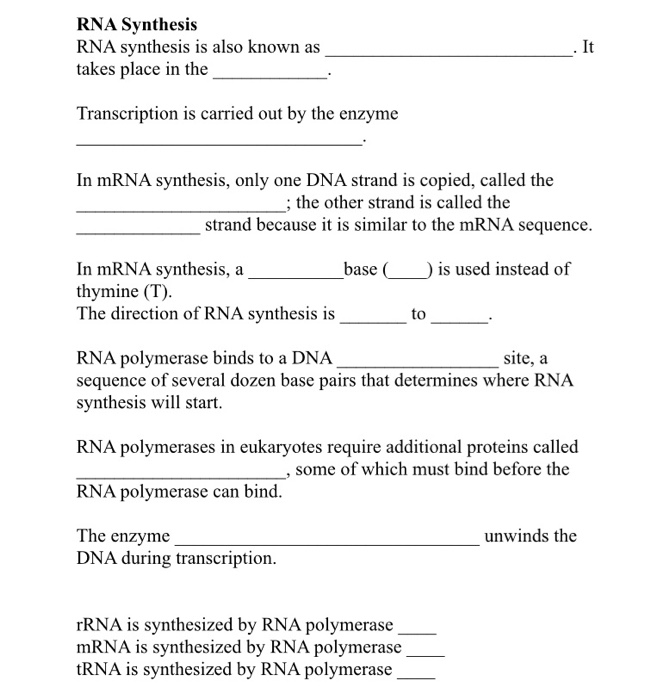 Solved Rna Synthesis Rna Synthesis Is Also Known As Takes Chegg Com Solved Rna Synthesis Rna Synthesis Is Also Known As Takes Chegg Com