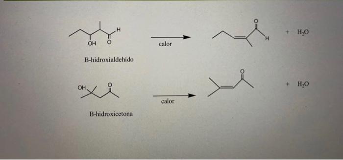 Solved draw the mechanism (curved arrows with their names on | Chegg.com