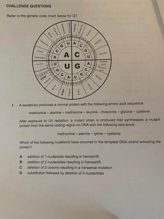 Solved CHALLENGE QUESTIONS Refer to the genetic code chart | Chegg.com