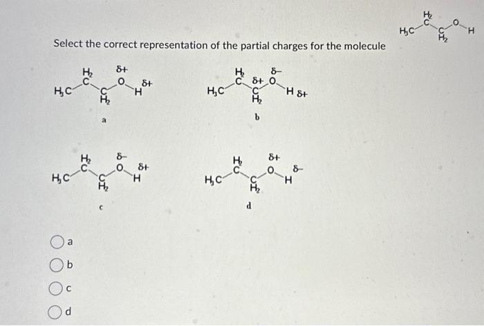 Solved Select the correct representation of the partial | Chegg.com