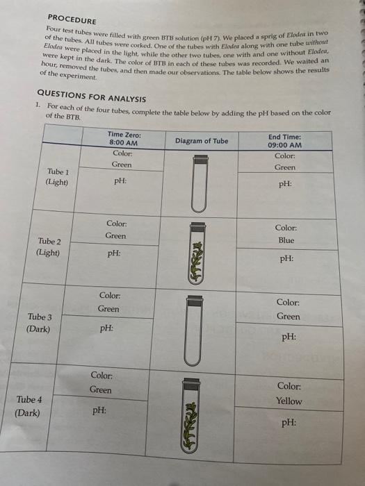 experimental variables worksheet photosynthesis in an aquatic plant answers