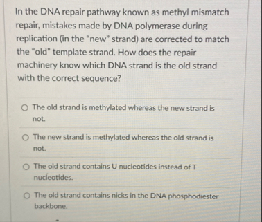 Solved In the DNA repair pathway known as methyl mismatch | Chegg.com