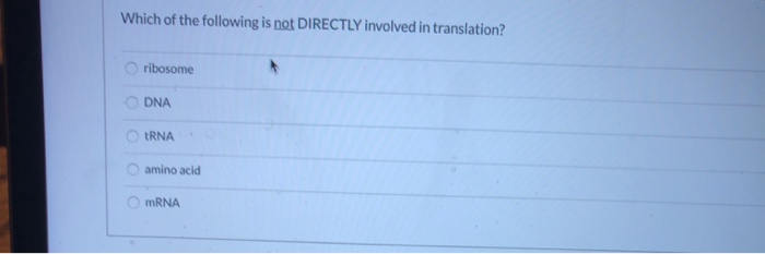 Which Of The Following Is Not Directly Involved In Translation
