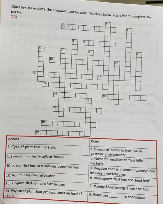 Solved Question 1: Complete the crossword puzzle using the Chegg com