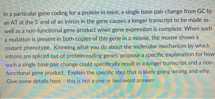 Solved In a particular gene coding for a protein in mice, a | Chegg.com
