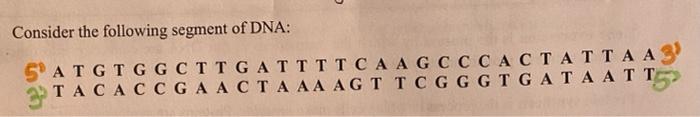 Solved Consider the following segment of DNA: SATGTGG | Chegg.com