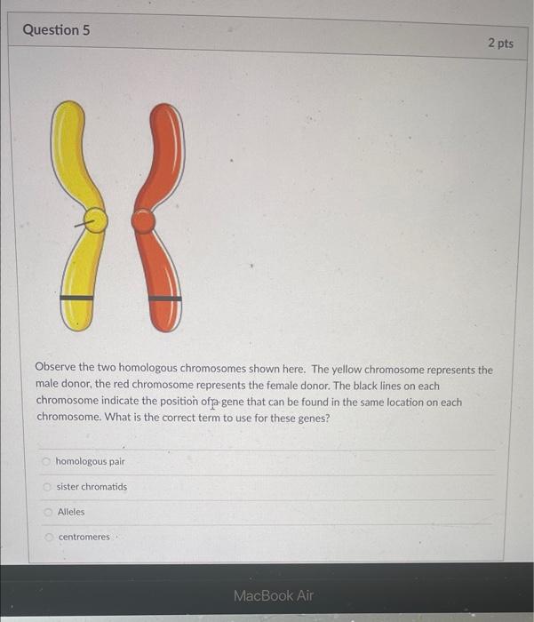 Solved Question 5 2 pts Observe the two homologous | Chegg.com