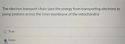 Solved The electron transport chain uses the energy from | Chegg.com