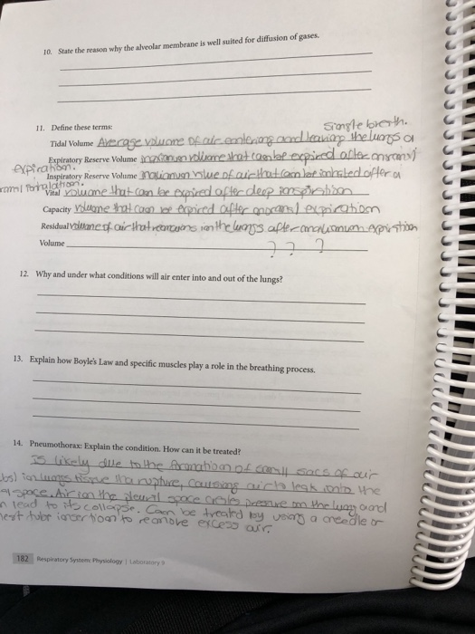 Breathing lab report picture