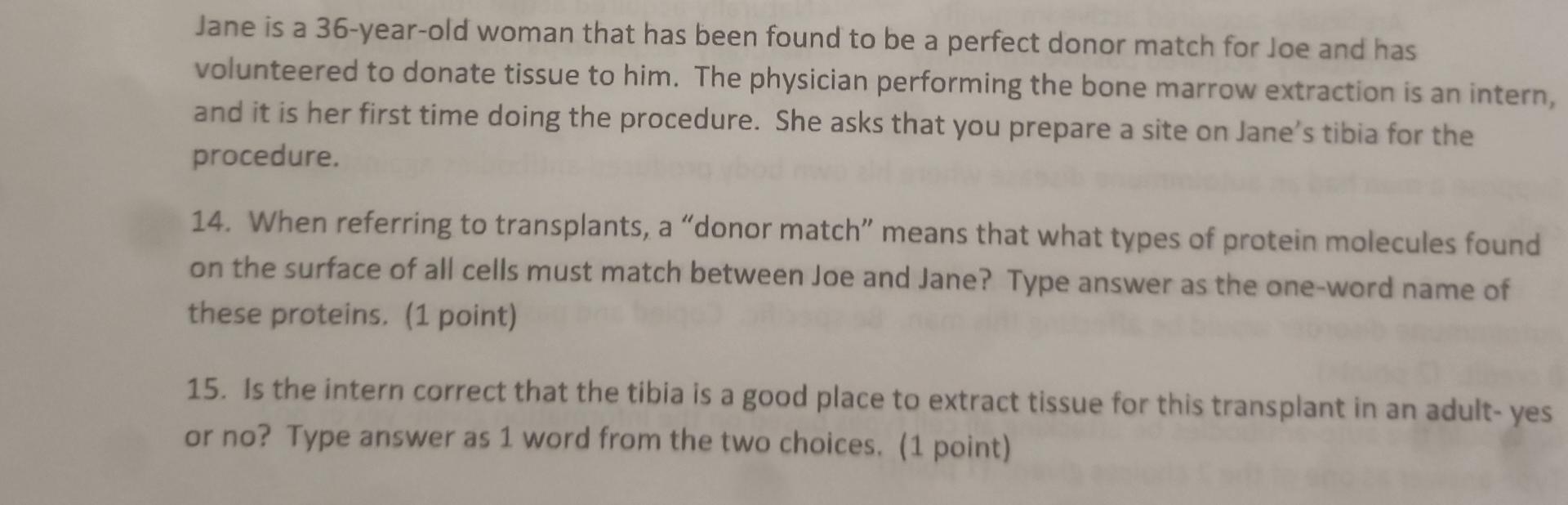 Solved sentences using correct spelling, grammar and | Chegg.com