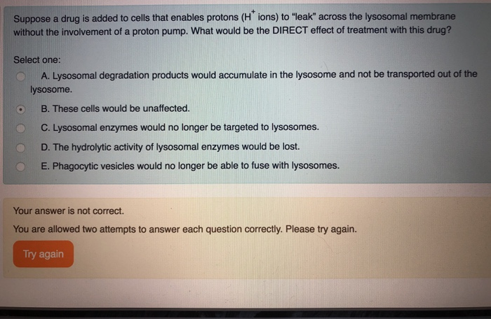 Solved This Question Confuses Me, B Is Not The Answer, But I | Chegg.com Solved This Question Confuses Me, B Is Not The Answer, But I | Chegg.com