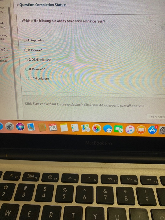 Solved Question Completion Status: Plus Which of the | Chegg.com