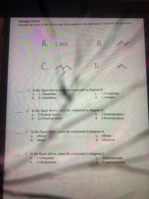 Solved Multiple Choice Identify the letter of the choice | Chegg.com