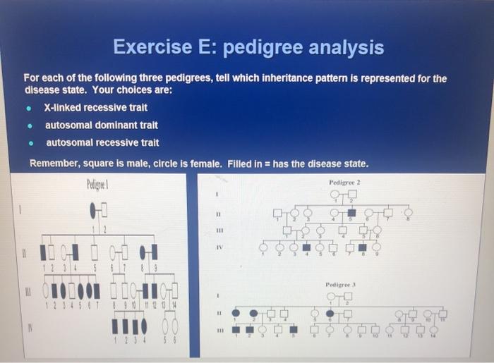 Solved Exercise E: pedigree analysis For each of the | Chegg.com
