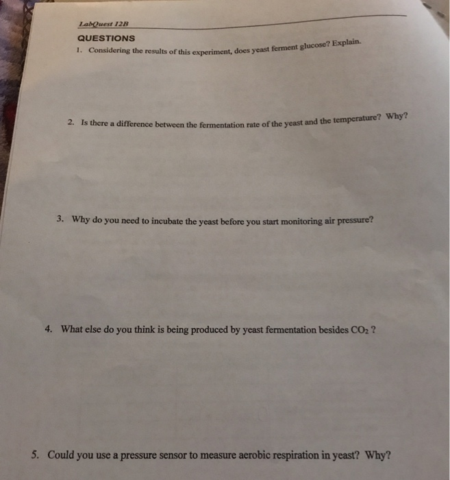 LabQuest 12B QUESTIONS dering the results of this