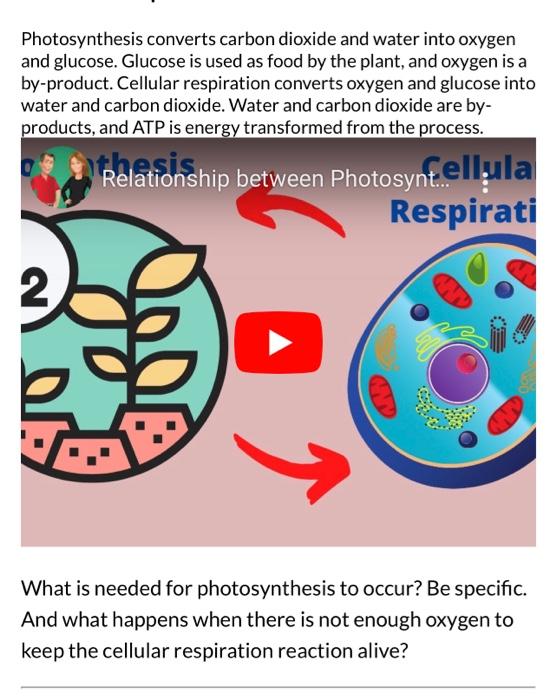 Solved Photosynthesis converts carbon dioxide and water into
