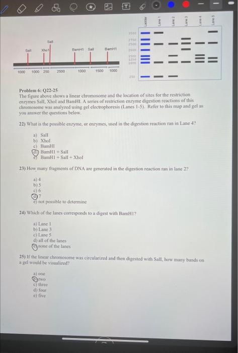 Solved Problem 6: Q22-25 The figure above shows a lincar | Chegg.com