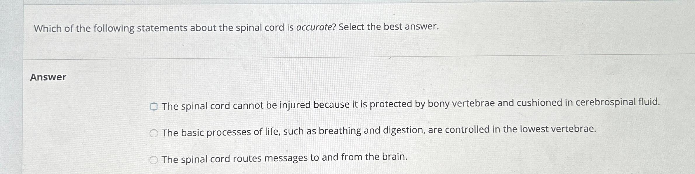 Solved Which of the following statements about the spinal | Chegg.com