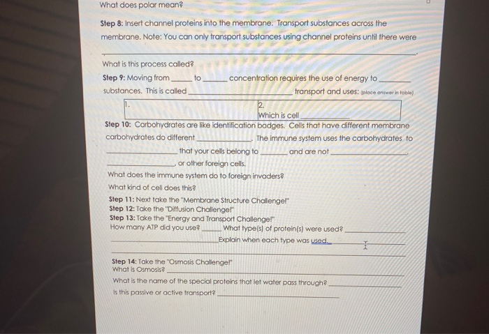 solved-what-does-polar-mean-step-8-insert-channel-proteins-chegg