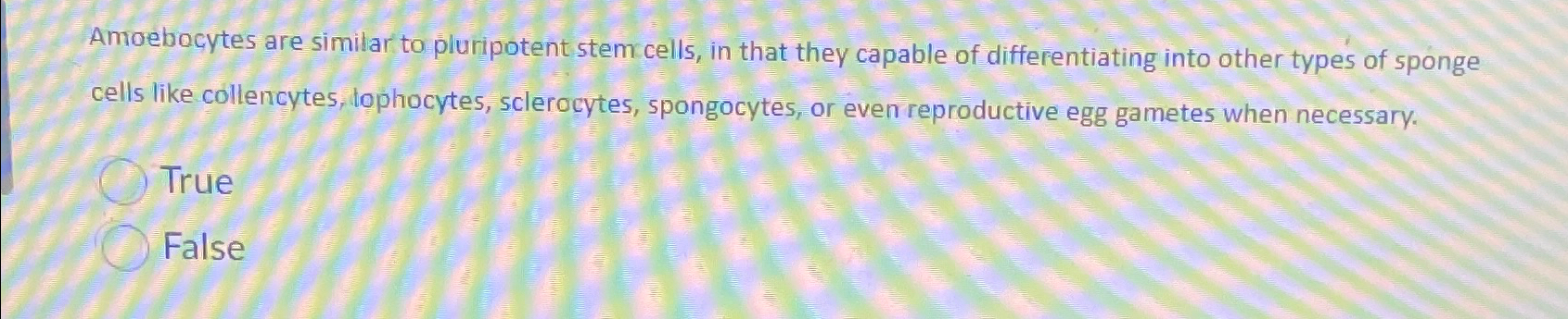 Solved Amoebocytes are similar to pluripotent stem cells, in | Chegg.com