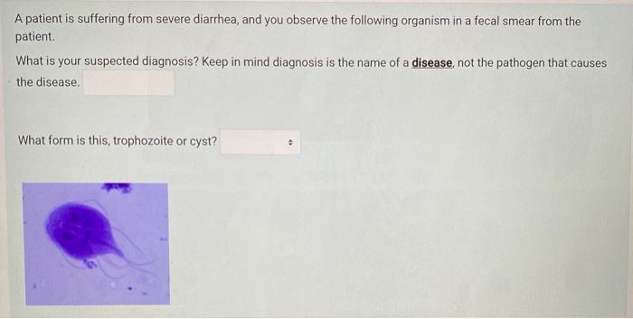 A patient is suffering from severe diarrhea, and you observe the following organism in a fecal smear from the
patient.
What i