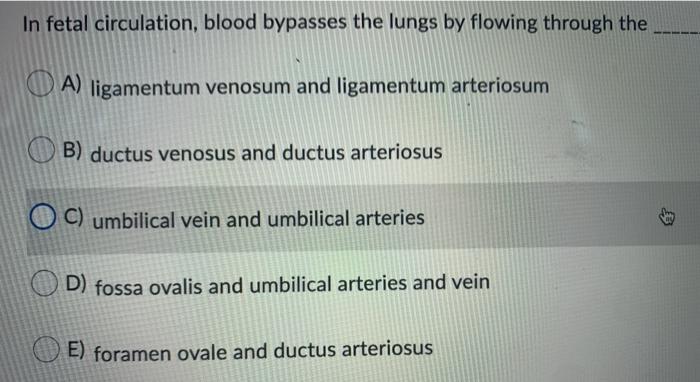 Solved In fetal circulation, blood bypasses the lungs by | Chegg.com