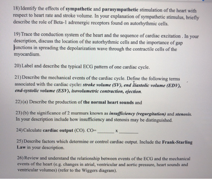 Solved 18) Identify the effects of sympathetic and | Chegg.com