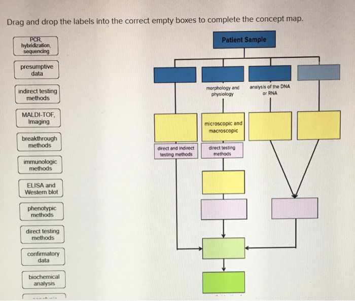 Solved Drag and drop the labels into the correct empty boxes | Chegg.com