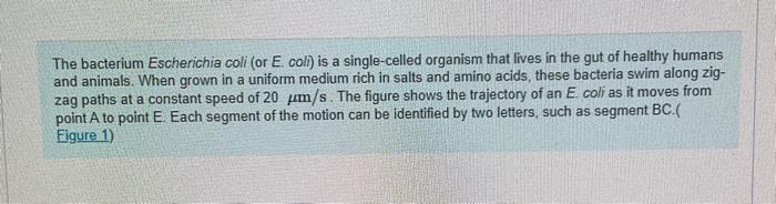 The bacterium Escherichia coli (or E. coll) is a | Chegg.com