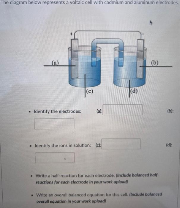 Solved The diagram below represents a voltaic cell with | Chegg.com