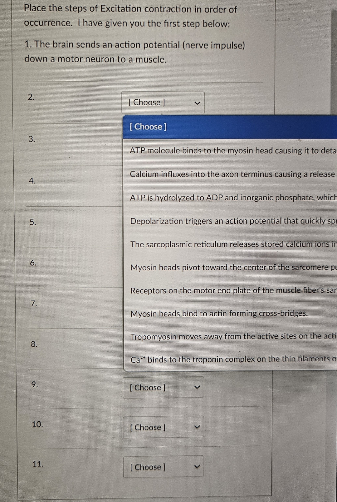 Solved Place the steps of Excitation contraction in order of | Chegg.com