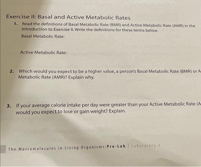 Basal Metabolic Rate - an overview