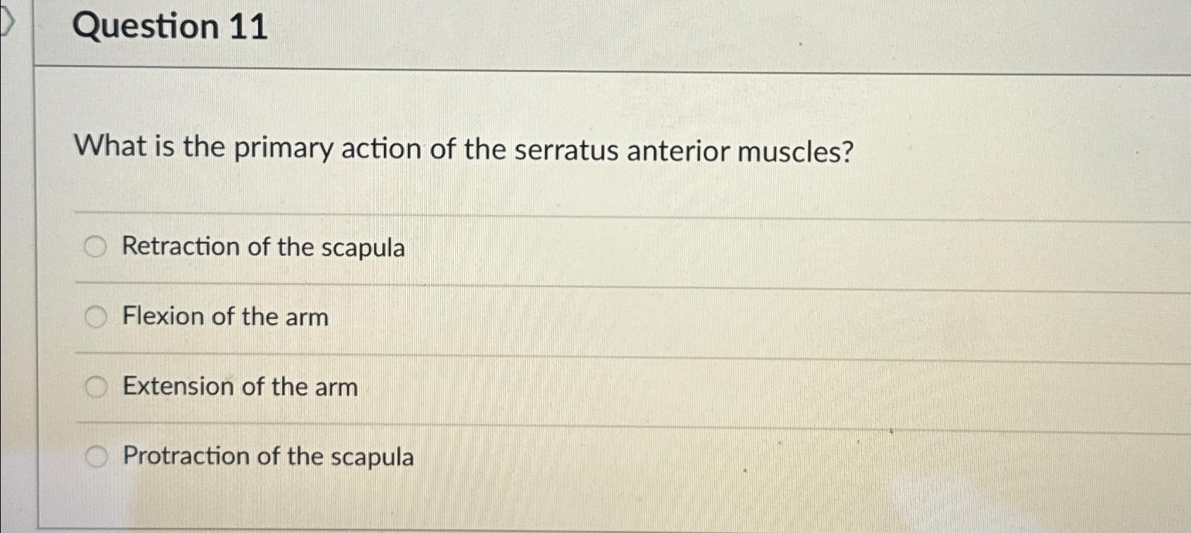 Solved Question 11What is the primary action of the serratus | Chegg.com