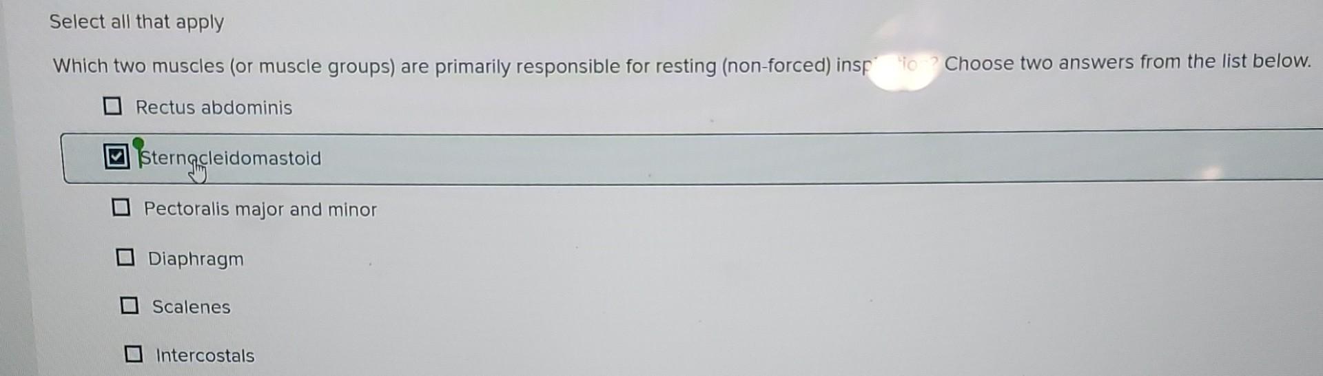 Solved Select all that apply Which two muscles (or muscle | Chegg.com