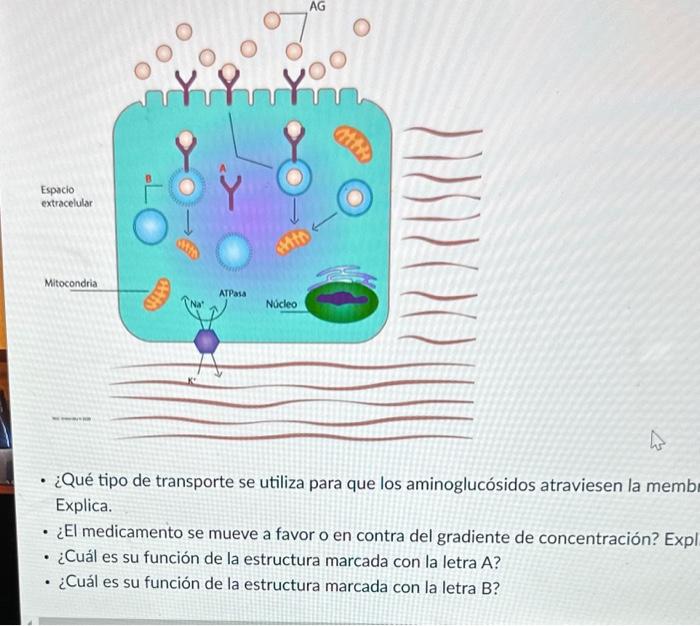 student submitted image, transcription available below