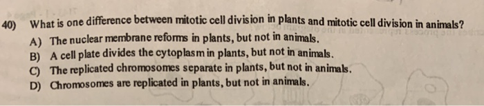 What Is One Difference Between Mitotic Cell Division In Plants And Mitotic Cell Division In Animals