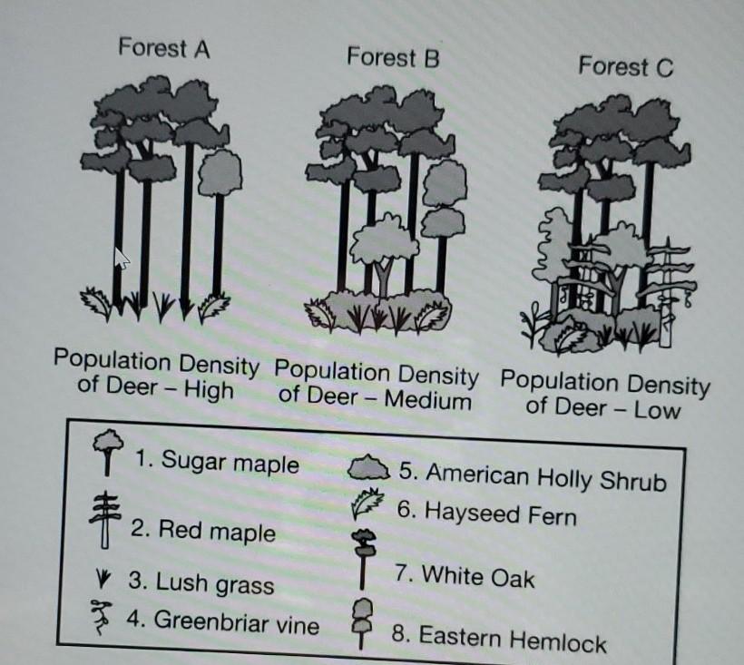 Solved Forest A Forest B Forest C Ern Population Density | Chegg.com