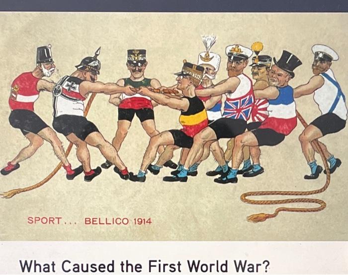 Solved SPORT... BELLICO 1914 What Caused the First World | Chegg.com