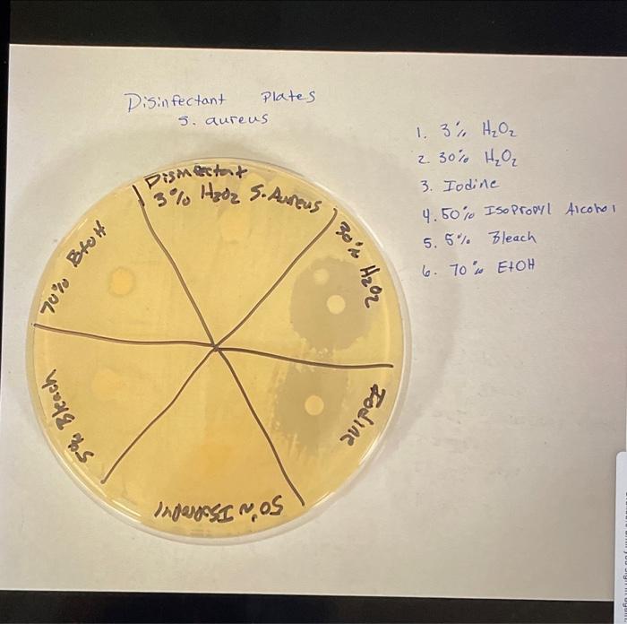 Solved EXPERIMENI 44 Name Date Section Lab Report | Chegg.com