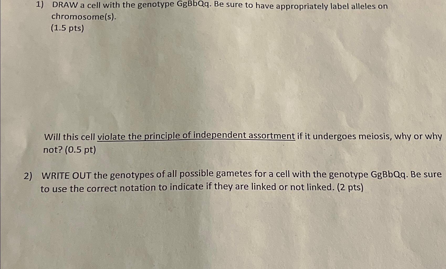 Solved DRAW a cell with the genotype GgBbQq. ﻿Be sure to | Chegg.com