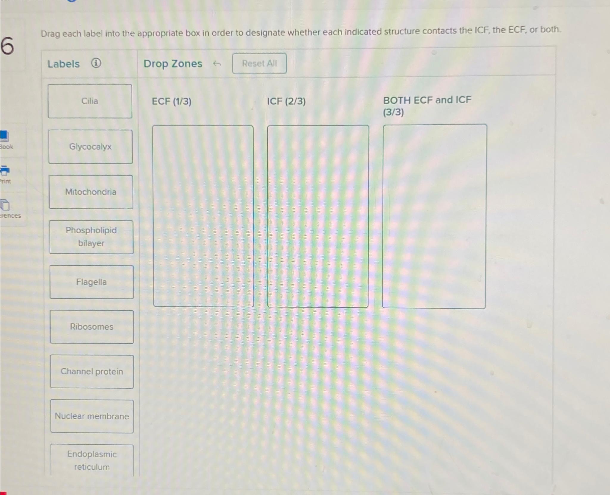 Solved Drag each label into the appropriate box in order to | Chegg.com