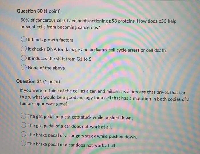 Solved Question 26 (1 point) How is cytokinesis in plant 